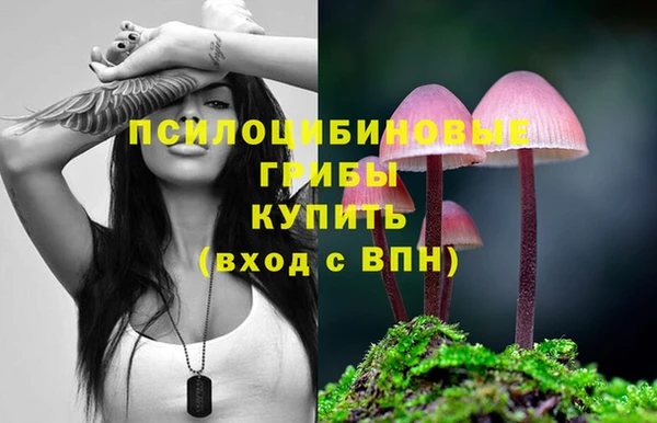 соль курить ск Вязьма